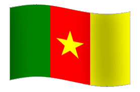 Flag of Cameroon